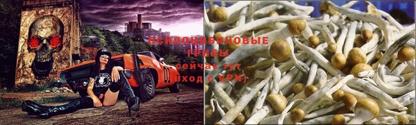 MDMA Арсеньев