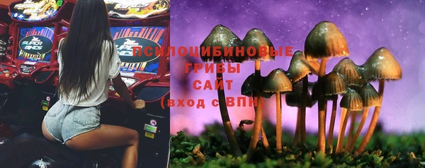 гашиш Аркадак