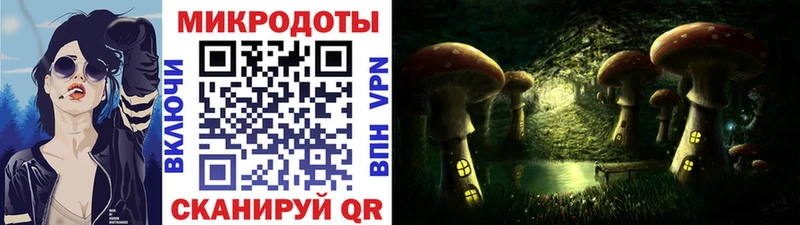 наркошоп  Зуевка  Псилоцибиновые грибы Psilocybe 